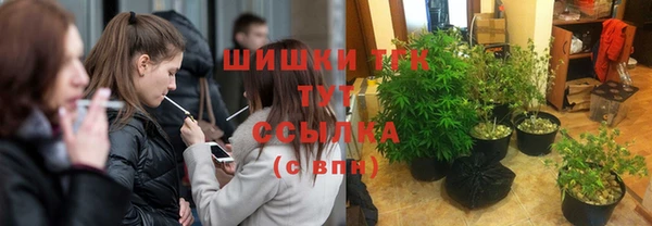 дживик Бородино