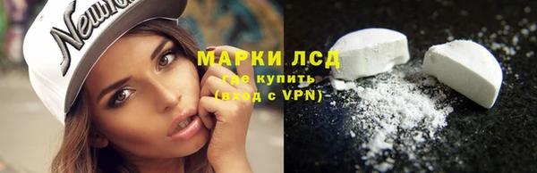 дживик Бородино