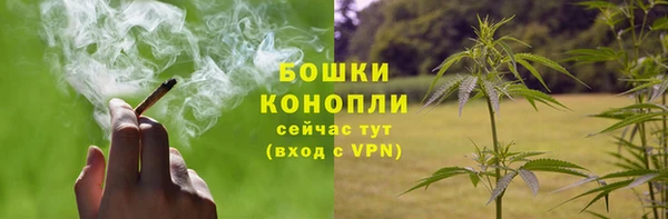 сатива Бронницы