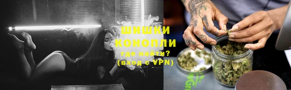 дживик Бородино