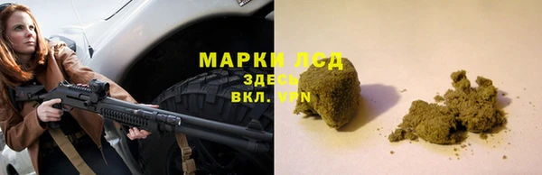 сатива Бронницы