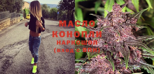 дживик Бородино