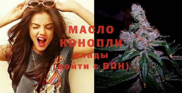 дживик Бородино