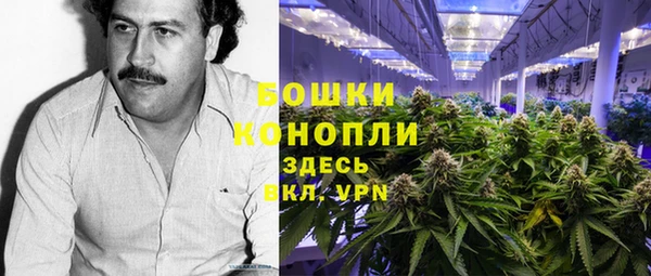 сатива Бронницы