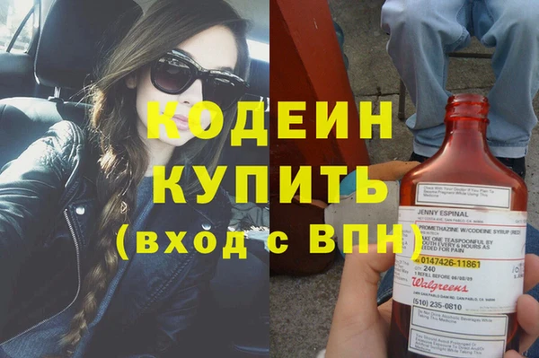 дживик Бородино