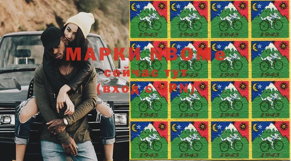дживик Бородино
