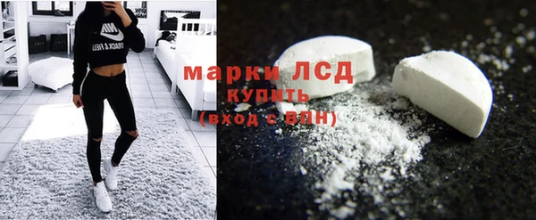 дживик Бородино