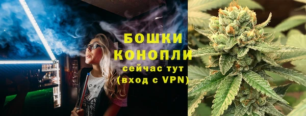 сатива Бронницы