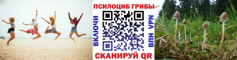 omg зеркало  Арзамас  Галлюциногенные грибы мухоморы 